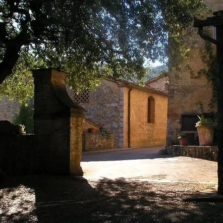 Il Pero Di Cetinale