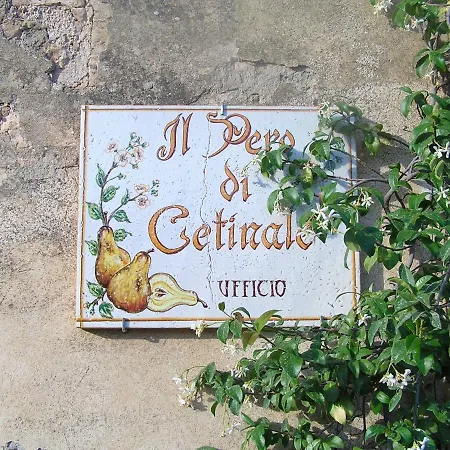 Il Pero Di Cetinale Cetinale