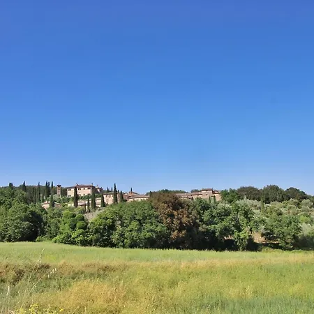 Il Pero Di Cetinale